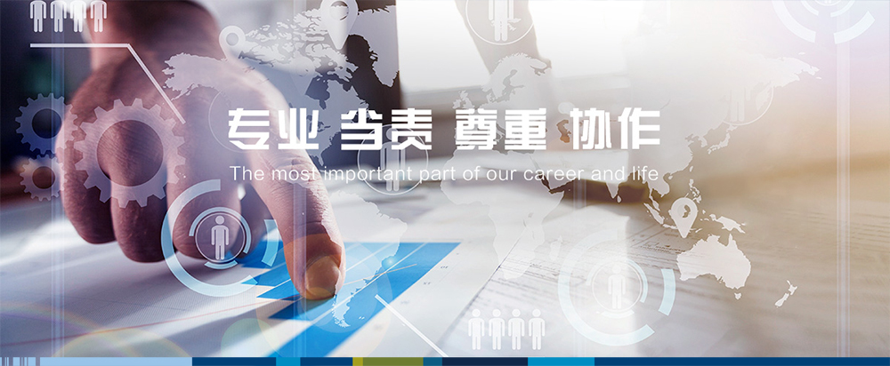 專業 當責 專業 協作